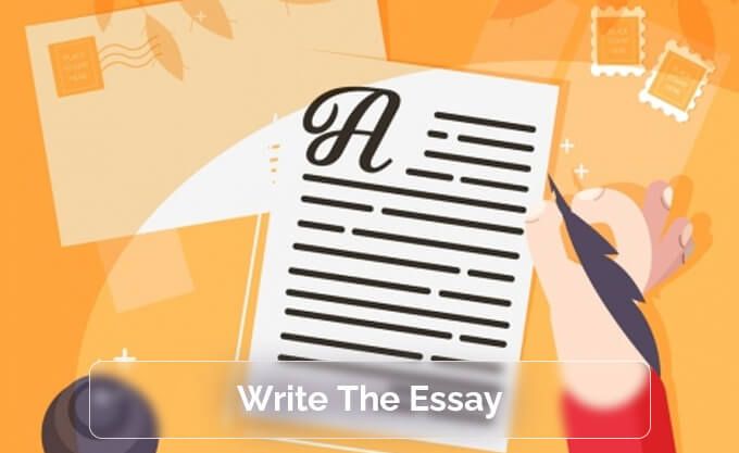 Write The Essay