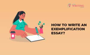 exemplification essay