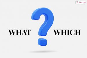 Which Vs What - Explanation,
