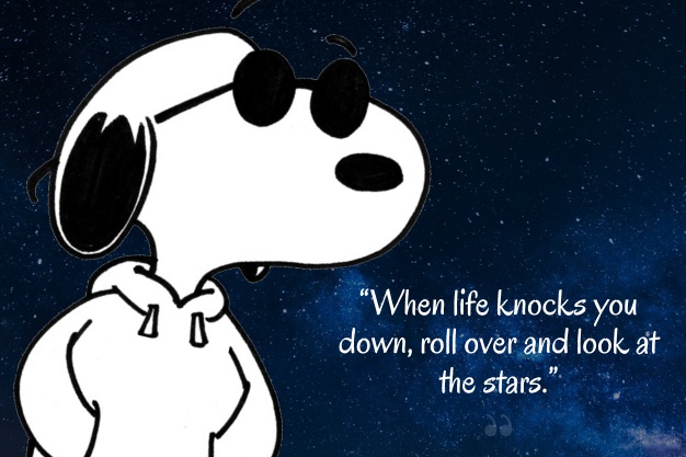 “When life knocks you down, roll over and look at the stars.”