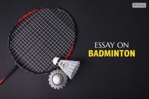 Essay On Badminton