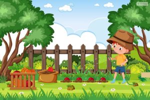 My Garden Essay