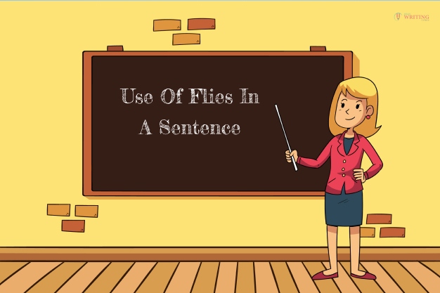 Use Of Flies In A Sentence