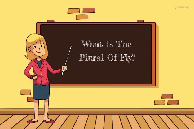 What Is The Plural Of Fly?