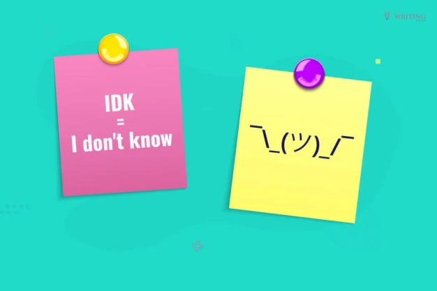 How to use IDK in sentences