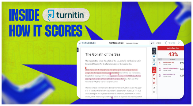 Inside Turnitin How It Scores An Essay